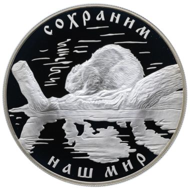 25 рублей 2008 года «Сохраним наш мир. Речной бобр»