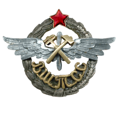Знак «Военная школа техников специальных служб ВШТСС»