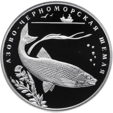 2 рубля 2008 года СПМД 