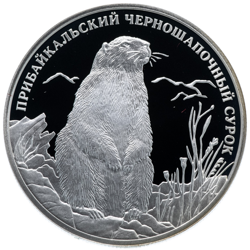 Купить серебряные монеты цены. Прибайкальский черношапочный сурок монета. Прибайкальский черношапочный сурок монета 2 рубля 2008. 2 Рубля Прибайкальский черношапочный сурок. Серебряная монета сурок.