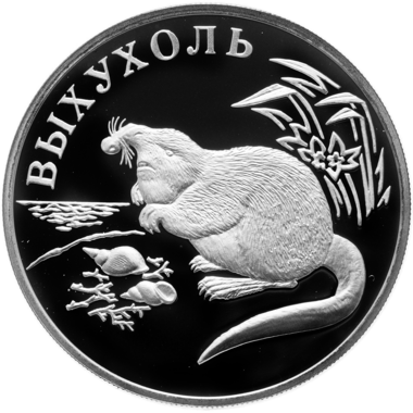 1 рубль 2000 года СПМД 