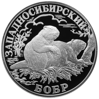1 рубль 2001 года СПМД 