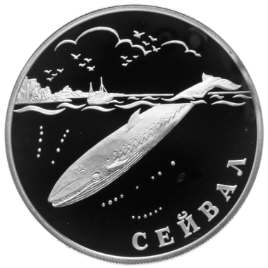 1 рубль 2002 года СПМД 