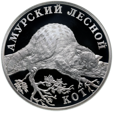 1 рубль 2004 года СПМД 