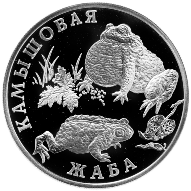 1 рубль 2004 года СПМД 