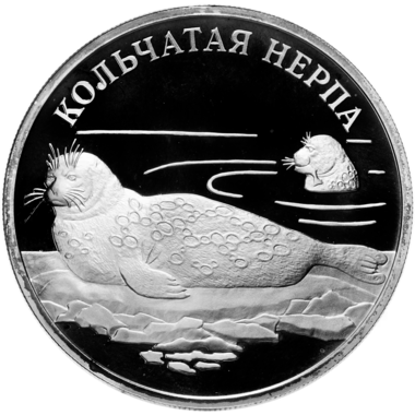 1 рубль 2007 года СПМД 
