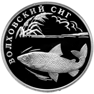 1 рубль 2005 года СПМД 