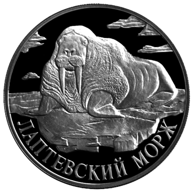 1 рубль 1998 года «Лаптевский морж. Красная книга»