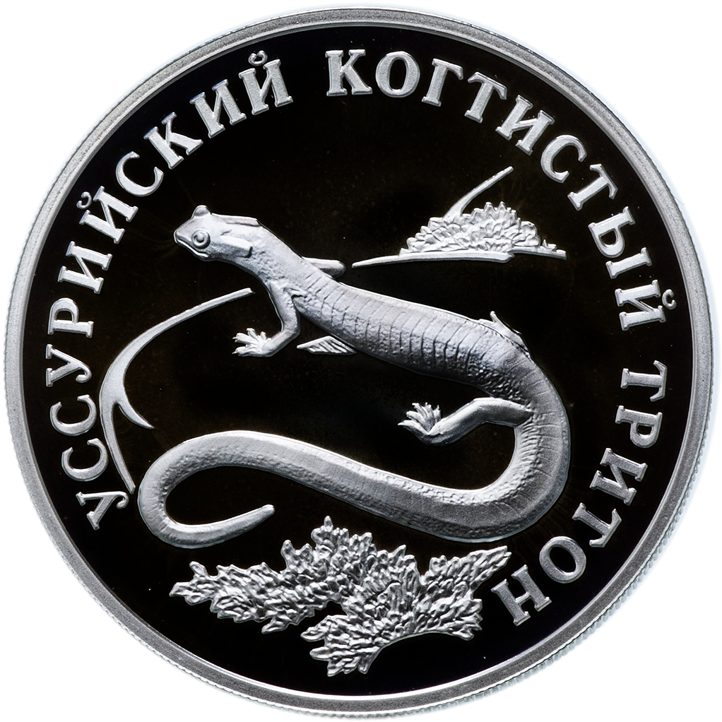 1 рубль 2006 года СПМД "Красная книга. Уссурийский когтистый тритон" Proof