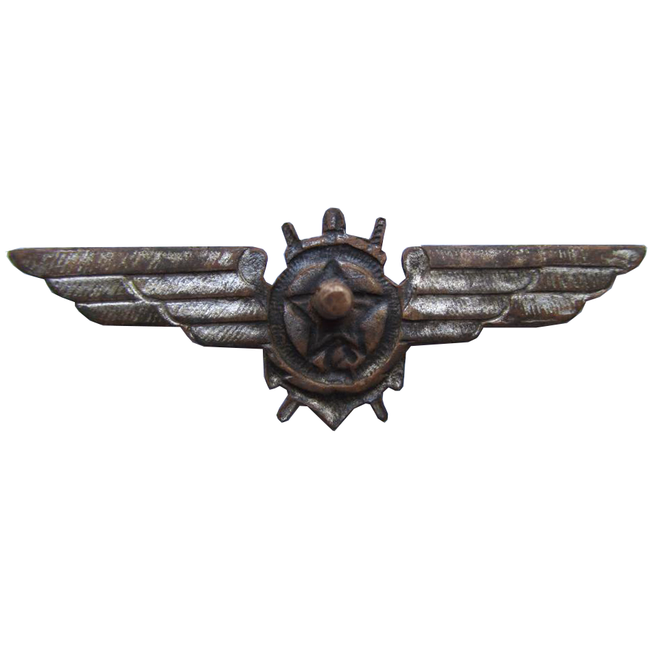 Знак Командного состава авиации ВМФ для лётного состава