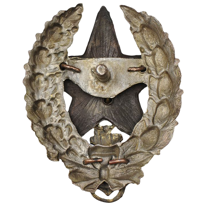 Знак командира Речной флотилии Рабоче-Крестьянской Красной Армии