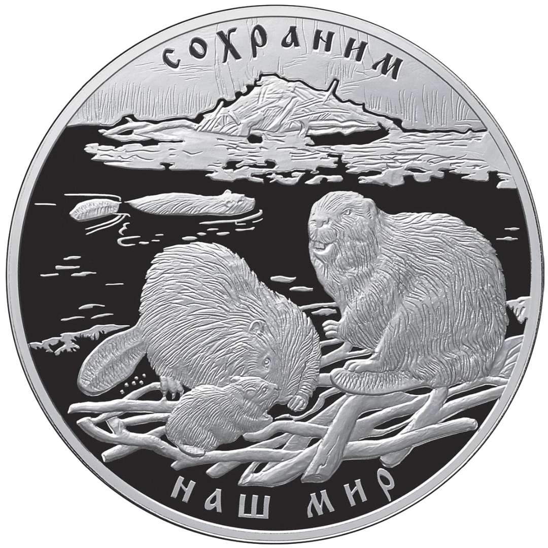 100 рублей 2008 года «Сохраним наш мир. Речной бобр» Proof