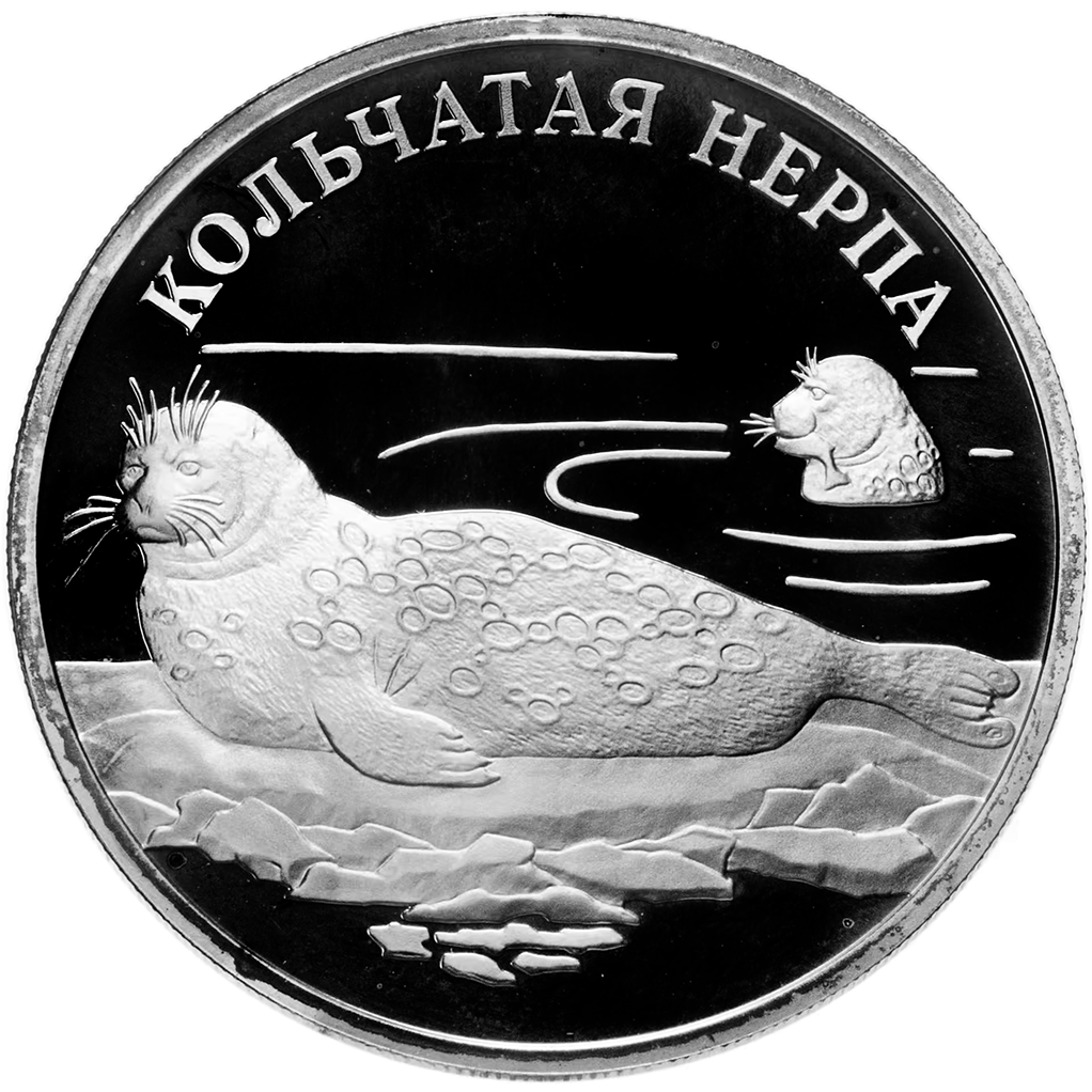 1 рубль 2007 года СПМД "Красная книга. Кольчатая нерпа" Proof